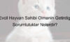 Evcil Hayvan Sahibi Olmanın Getirdiği Sorumluluklar Nelerdir?