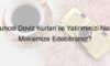 Güncel Döviz Kurları ile Yatırımınızı Nasıl Maksimize Edebilirsiniz?
